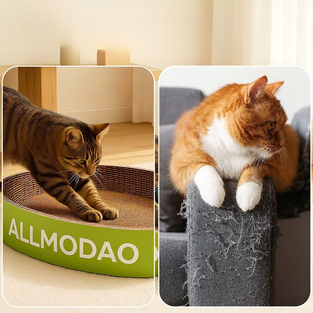 ALLMODAO Scratching Box
