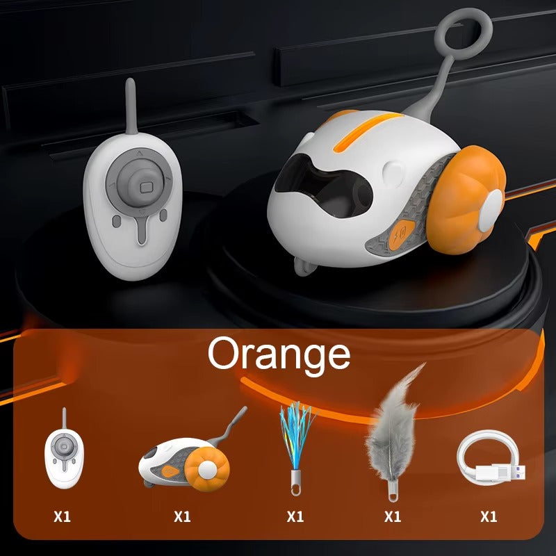 Remote Control Car
