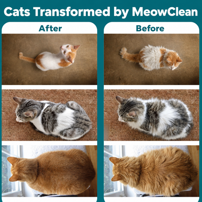 MeowClean by Meowverse
