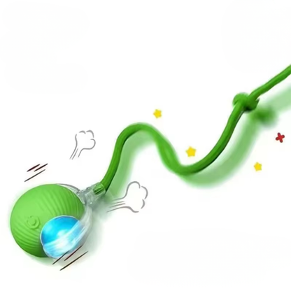 Interactive Ball