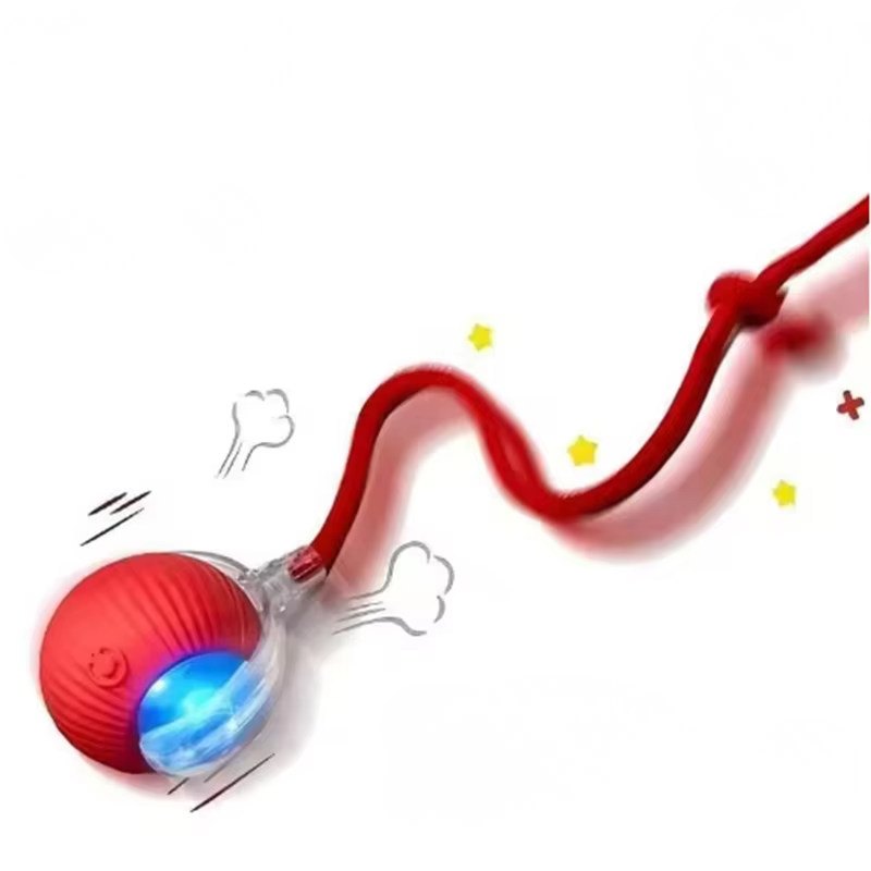 Interactive Ball