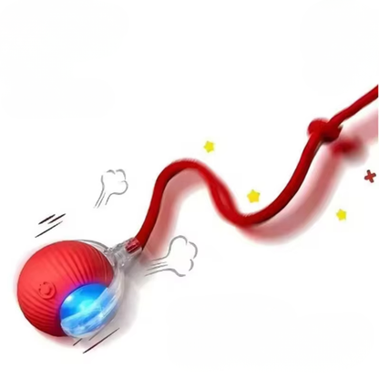 Interactive Ball