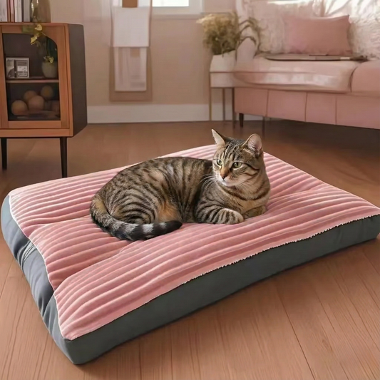 Cat Pillow Bed