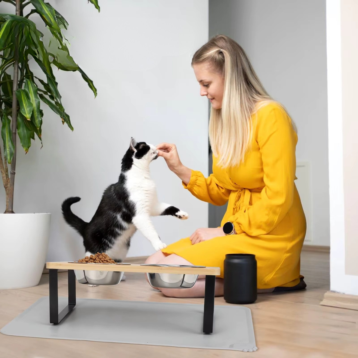 Elevated Cat Bowls