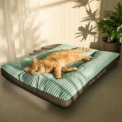Cat Pillow Bed