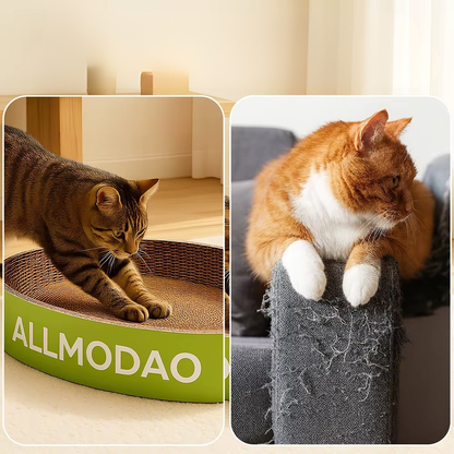 ALLMODAO Scratching Box