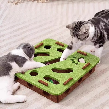 Cat Puzzle