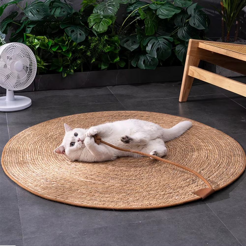 Scratching Mat with Ball