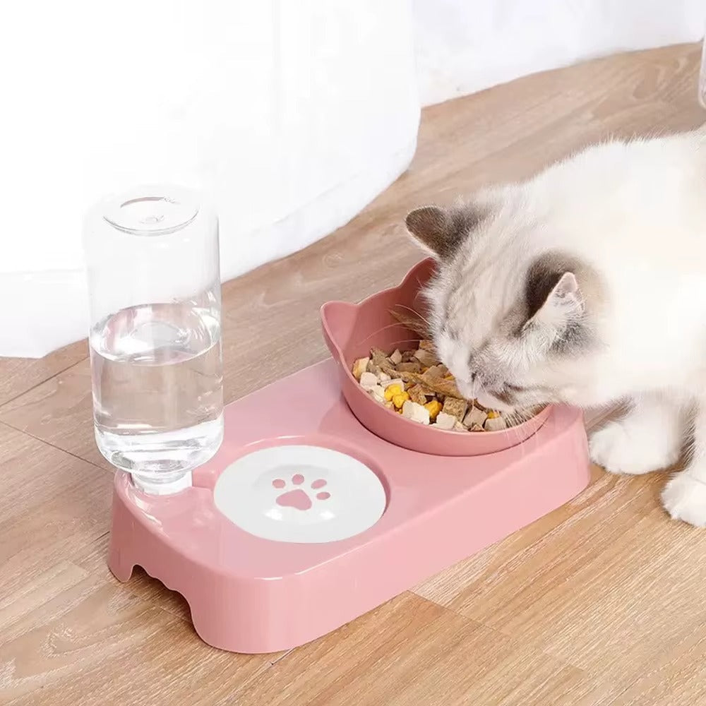 Double Cat Bowl