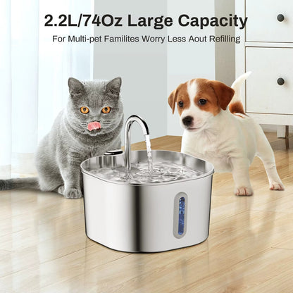 Meowverse Water Fountain