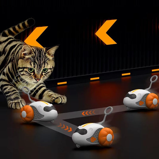 Remote Control Car