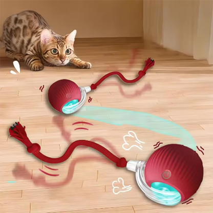 Interactive Ball