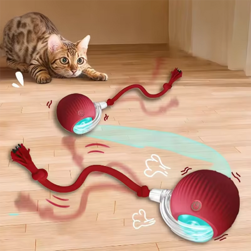 Interactive Ball