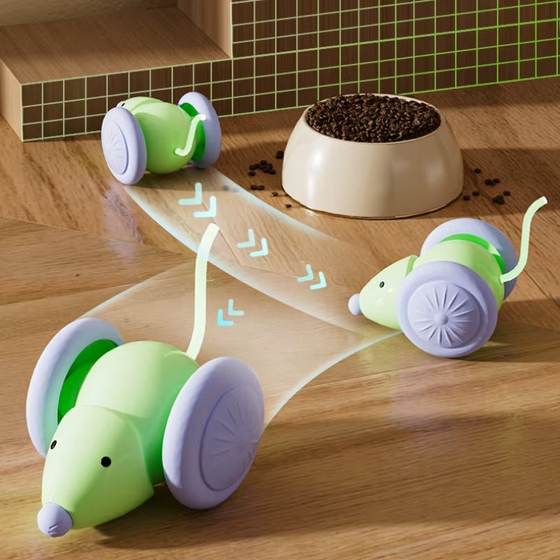 Interactive Mouse