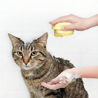 Bath Brush