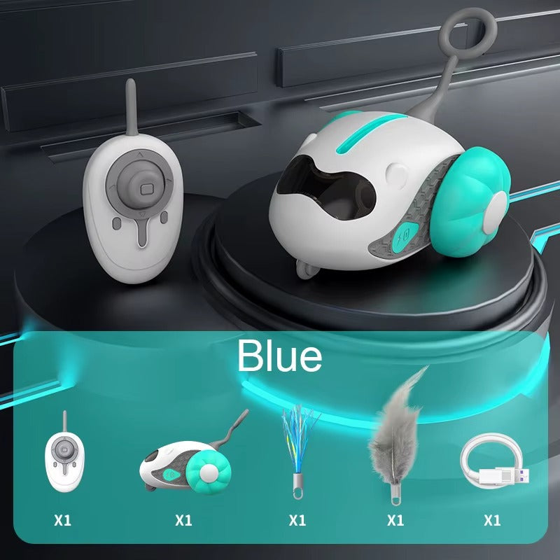 Remote Control Car